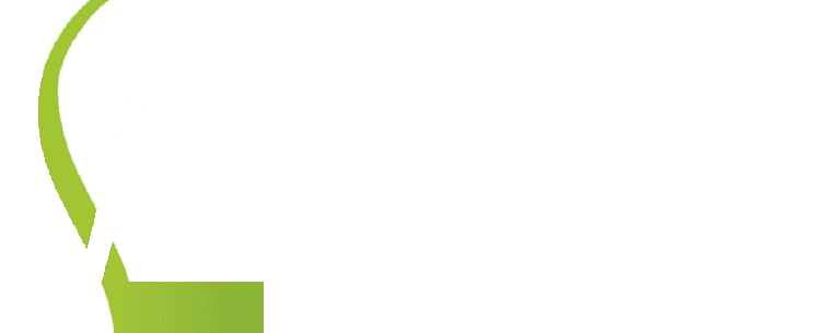 Vita Primer